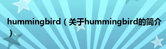 hummingbird（關(guān)于hummingbird的簡介）