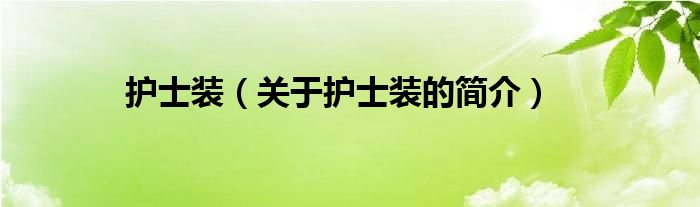 護士裝（關(guān)于護士裝的簡介）