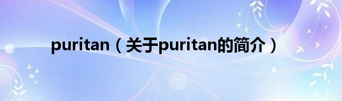 puritan（關(guān)于puritan的簡介）