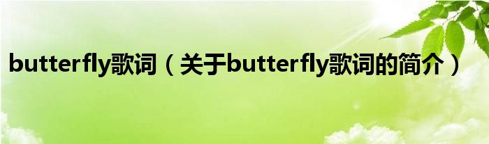 butterfly歌詞（關于butterfly歌詞的簡介）