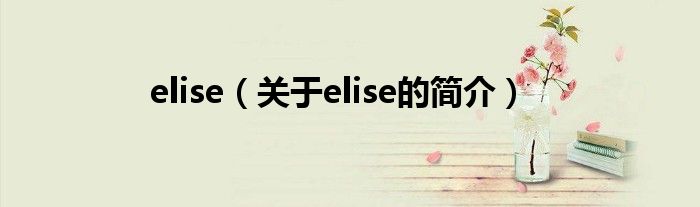 elise（關(guān)于elise的簡(jiǎn)介）