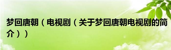 夢回唐朝（電視?。P于夢回唐朝電視劇的簡介））