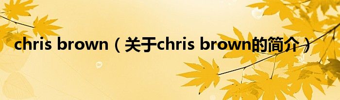 chris brown（關(guān)于chris brown的簡(jiǎn)介）