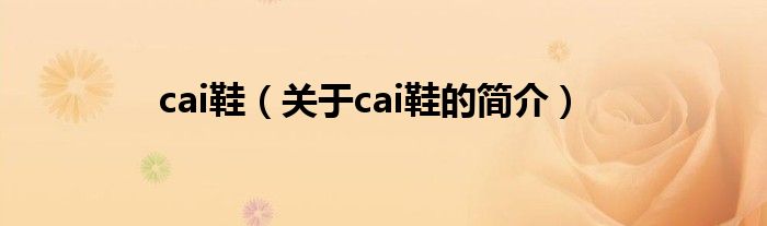 cai鞋（關于cai鞋的簡介）