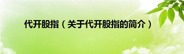 代開股指（關(guān)于代開股指的簡(jiǎn)介）