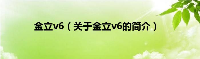 金立v6（關于金立v6的簡介）