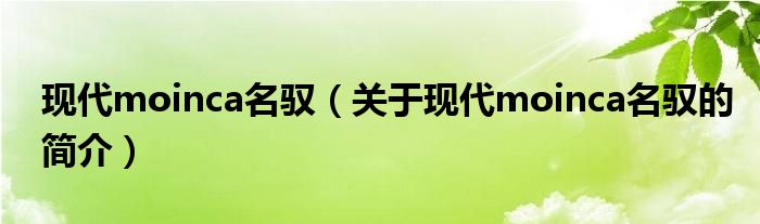 現(xiàn)代moinca名馭（關(guān)于現(xiàn)代moinca名馭的簡(jiǎn)介）