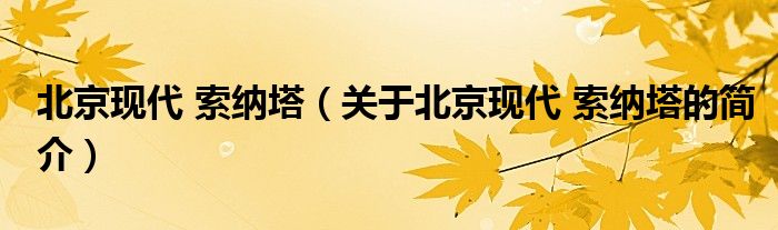 北京現(xiàn)代 索納塔（關(guān)于北京現(xiàn)代 索納塔的簡介）