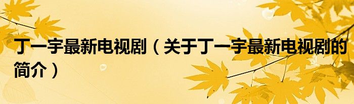 丁一宇最新電視劇（關(guān)于丁一宇最新電視劇的簡(jiǎn)介）