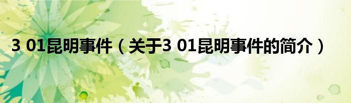 3 01昆明事件（關(guān)于3 01昆明事件的簡(jiǎn)介）