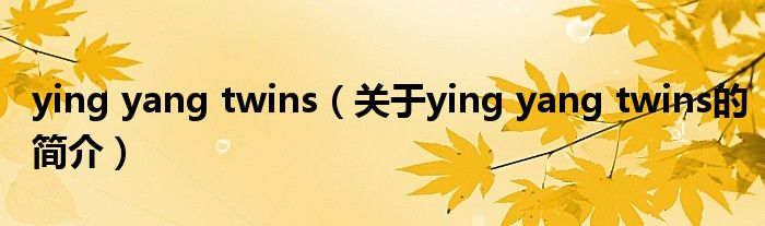 ying yang twins（關于ying yang twins的簡介）