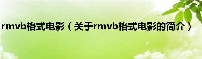 rmvb格式電影（關(guān)于rmvb格式電影的簡介）