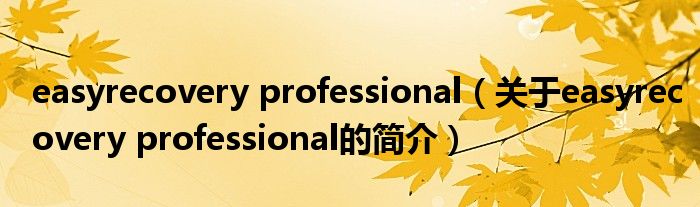 easyrecovery professional（關(guān)于easyrecovery professional的簡介）