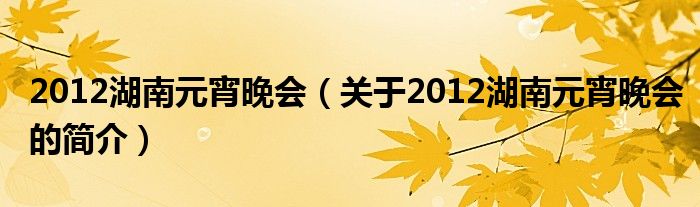 2012湖南元宵晚會（關于2012湖南元宵晚會的簡介）