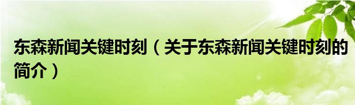 東森新聞關(guān)鍵時(shí)刻（關(guān)于東森新聞關(guān)鍵時(shí)刻的簡介）