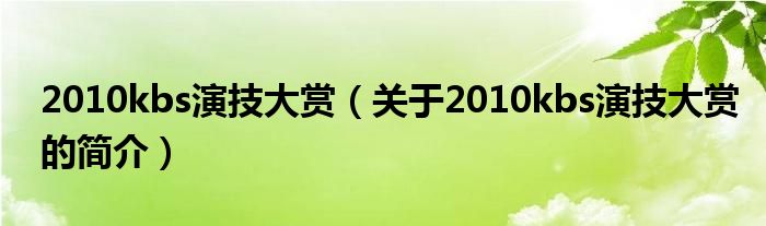 2010kbs演技大賞（關(guān)于2010kbs演技大賞的簡(jiǎn)介）