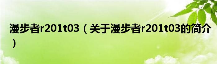 漫步者r201t03（關(guān)于漫步者r201t03的簡(jiǎn)介）