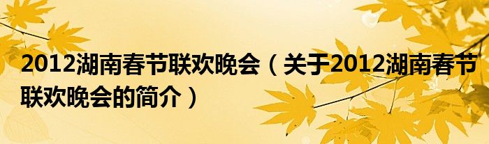 2012湖南春節(jié)聯(lián)歡晚會（關(guān)于2012湖南春節(jié)聯(lián)歡晚會的簡介）