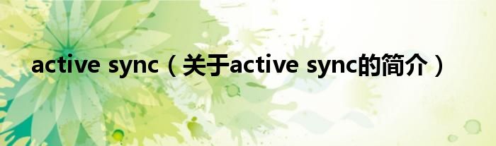 active sync（關(guān)于active sync的簡介）