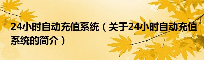 24小時自動充值系統(tǒng)（關(guān)于24小時自動充值系統(tǒng)的簡介）