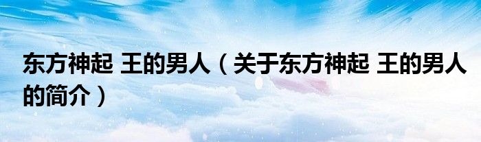 東方神起 王的男人（關(guān)于東方神起 王的男人的簡介）