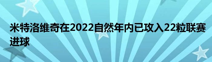 米特洛維奇在2022自然年內已攻入22粒聯(lián)賽進球