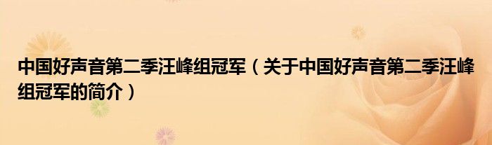 中國(guó)好聲音第二季汪峰組冠軍（關(guān)于中國(guó)好聲音第二季汪峰組冠軍的簡(jiǎn)介）