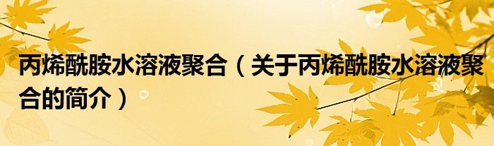 丙烯酰胺水溶液聚合（關(guān)于丙烯酰胺水溶液聚合的簡(jiǎn)介）