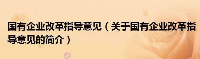 國(guó)有企業(yè)改革指導(dǎo)意見(jiàn)（關(guān)于國(guó)有企業(yè)改革指導(dǎo)意見(jiàn)的簡(jiǎn)介）