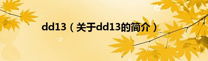 dd13（關于dd13的簡介）