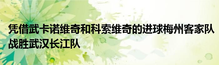 憑借武卡諾維奇和科索維奇的進球梅州客家隊?wèi)?zhàn)勝武漢長江隊