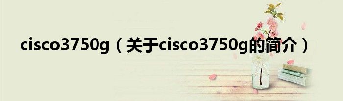 cisco3750g（關(guān)于cisco3750g的簡(jiǎn)介）