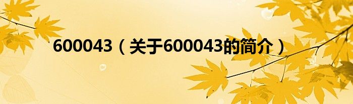 600043（關(guān)于600043的簡(jiǎn)介）