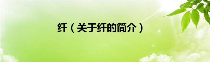 纖（關(guān)于纖的簡介）