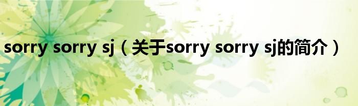 sorry sorry sj（關(guān)于sorry sorry sj的簡介）