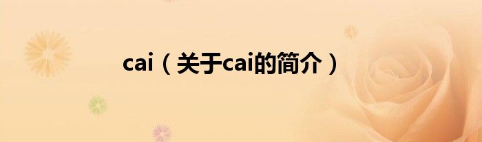 cai（關(guān)于cai的簡介）