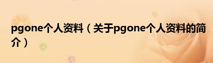 pgone個人資料（關于pgone個人資料的簡介）