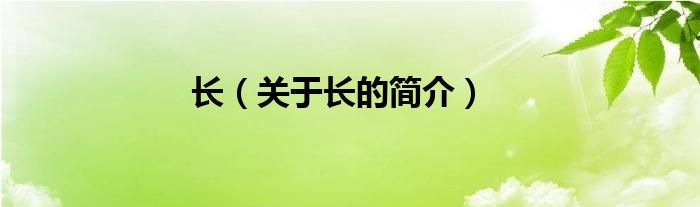 長（關(guān)于長的簡介）