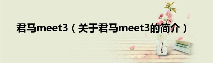 君馬meet3（關于君馬meet3的簡介）