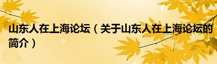 山東人在上海論壇（關(guān)于山東人在上海論壇的簡介）