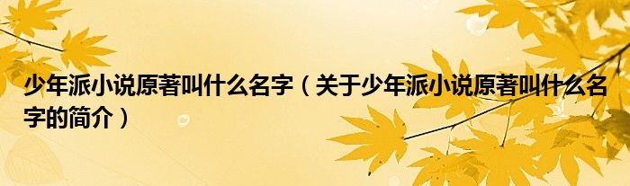 少年派小說原著叫什么名字（關(guān)于少年派小說原著叫什么名字的簡介）