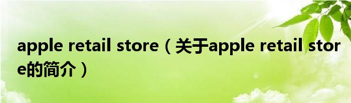 apple retail store（關(guān)于apple retail store的簡(jiǎn)介）