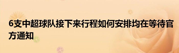 6支中超球隊(duì)接下來行程如何安排均在等待官方通知