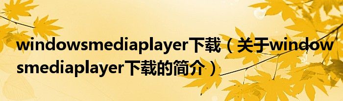 windowsmediaplayer下載（關于windowsmediaplayer下載的簡介）