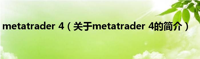 metatrader 4（關(guān)于metatrader 4的簡(jiǎn)介）