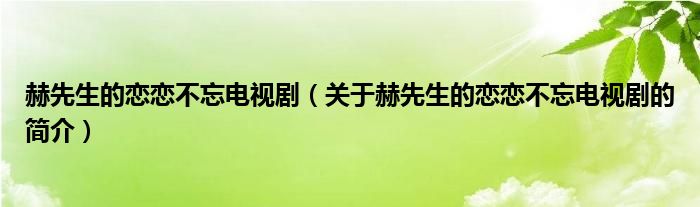 赫先生的戀戀不忘電視劇（關(guān)于赫先生的戀戀不忘電視劇的簡(jiǎn)介）