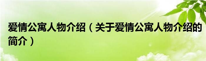 愛情公寓人物介紹（關(guān)于愛情公寓人物介紹的簡介）