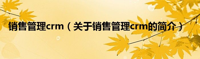 銷售管理crm（關(guān)于銷售管理crm的簡(jiǎn)介）