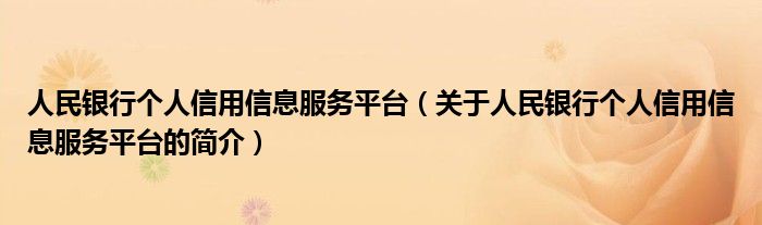 人民銀行個人信用信息服務(wù)平臺（關(guān)于人民銀行個人信用信息服務(wù)平臺的簡介）