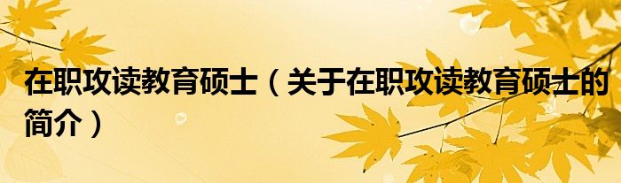 在職攻讀教育碩士（關(guān)于在職攻讀教育碩士的簡(jiǎn)介）